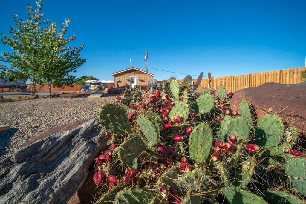 Redrock Moab Tiny House W Large Loft Site 8 Villa Eksteriør billede